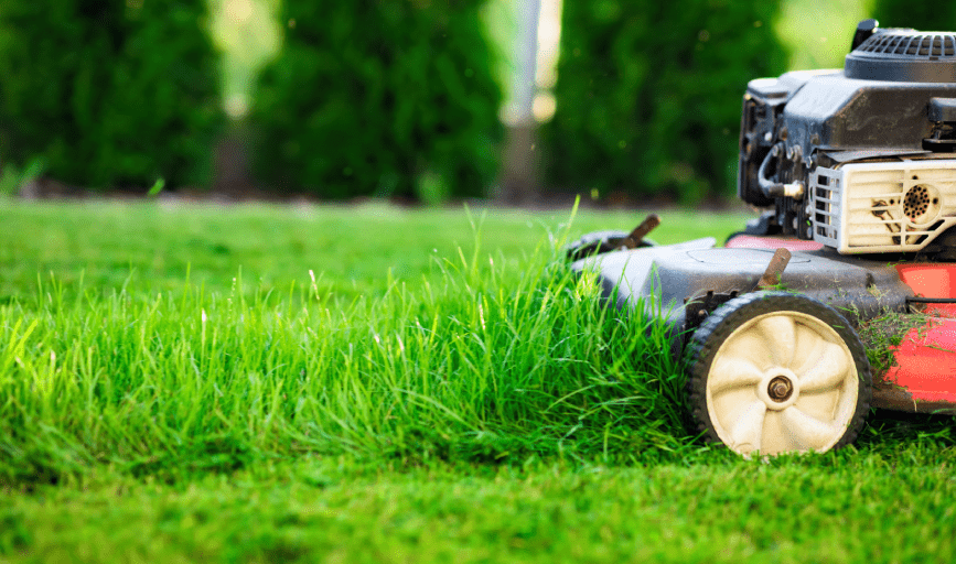 LAWN CARE SERVICES